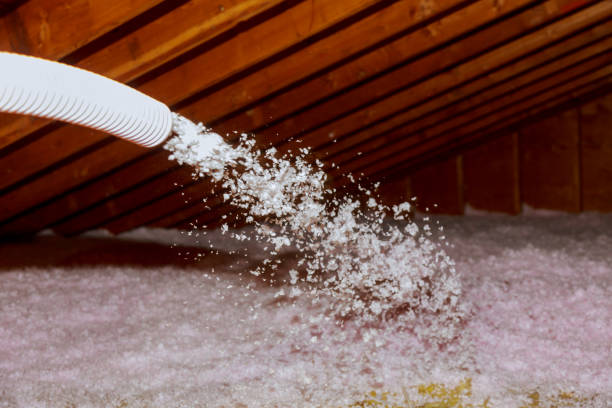 Best Insulation Contractors for Homes  in Williamsburg, KY