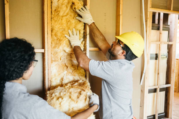 Best Insulation for New Construction  in Williamsburg, KY